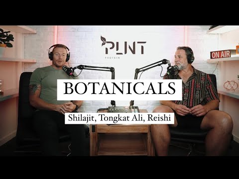 PHYBA PERFORMANCE PODCAST E003 - Shilajit, Tongkat Ali