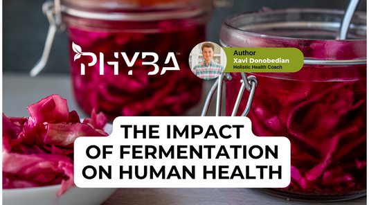 “Ment” To Be: How Fermentation Positively Impacts Human Physiology