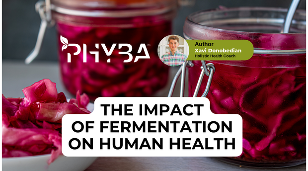 “Ment” To Be: How Fermentation Positively Impacts Human Physiology