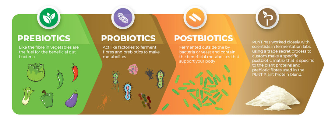 What is a post Postbiotic Matrix?