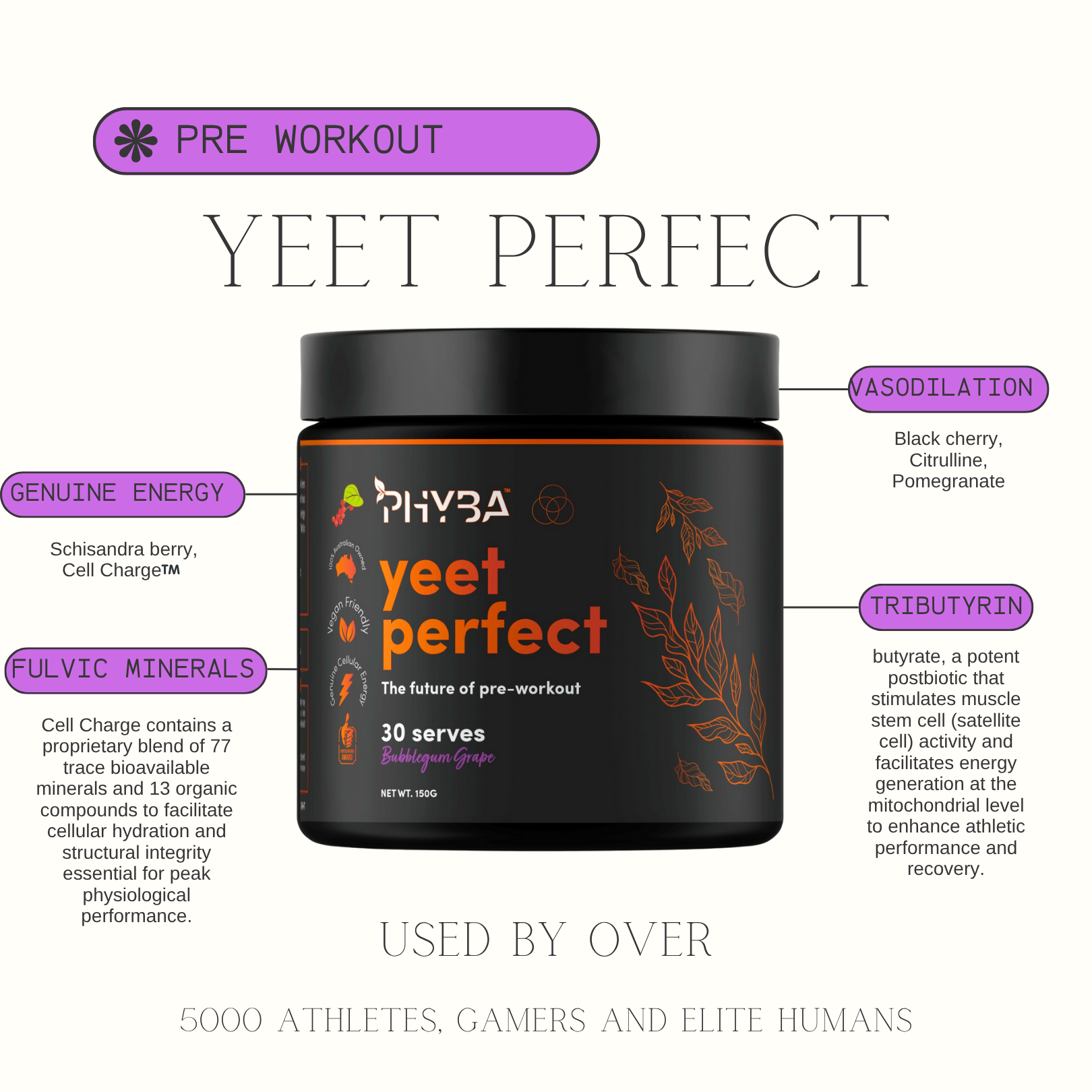 Gut Health Performance Bundle