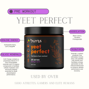Gut Health Performance Bundle