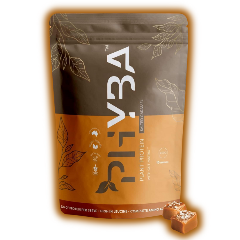 Phyba Salted Caramel Protein 450g