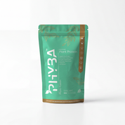 Phyba Choc Mint Plant Protein